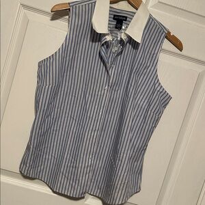 Ann Taylor Blue and White Striped Camisole